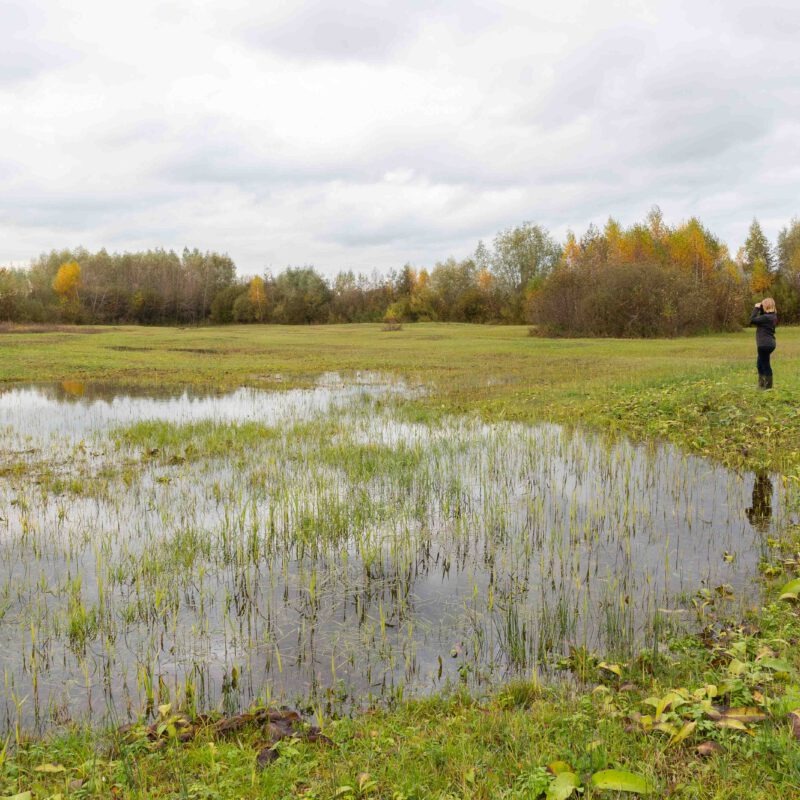 RPS-artikel-stikstof-reddingsboei-sanne-tummers