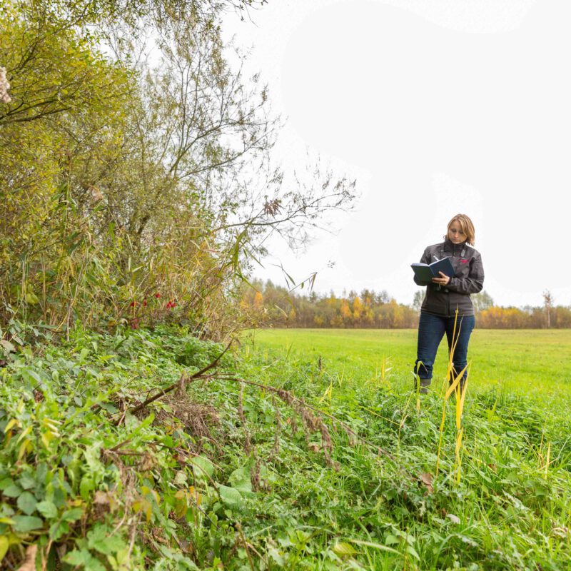 RPS-artikel-stikstof-sanne-tummers