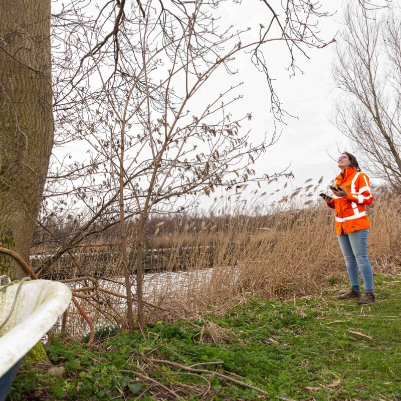 RPS-artikel-vleermuisonderzoek-Floor