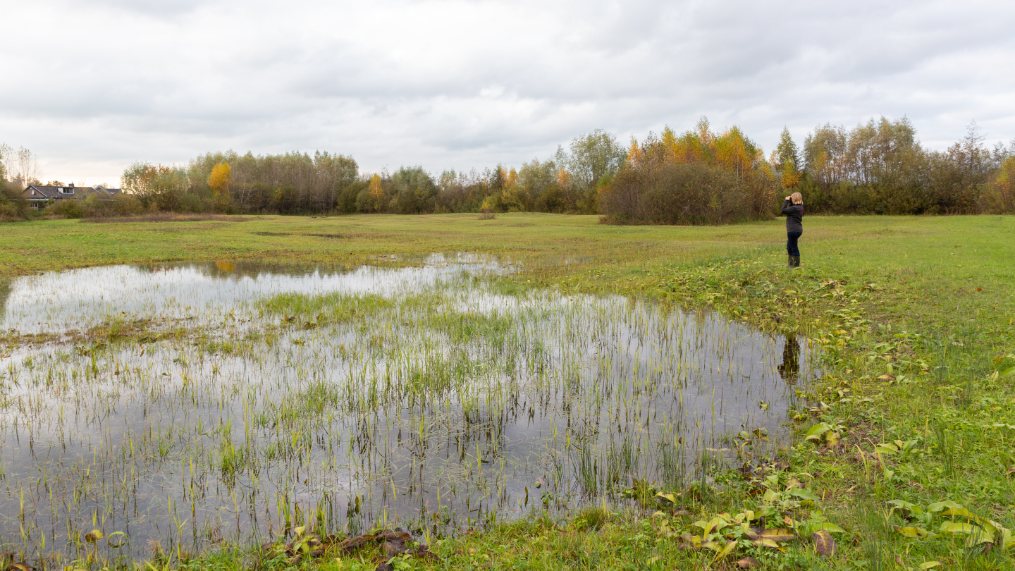 RPS-Natuur-2