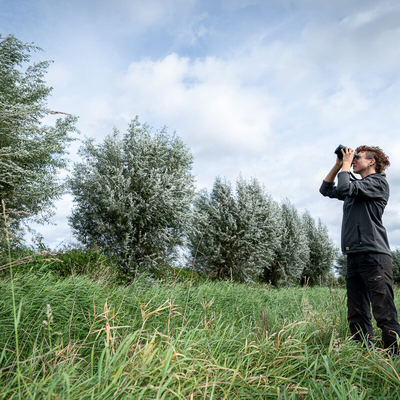 Ecologische quickscan