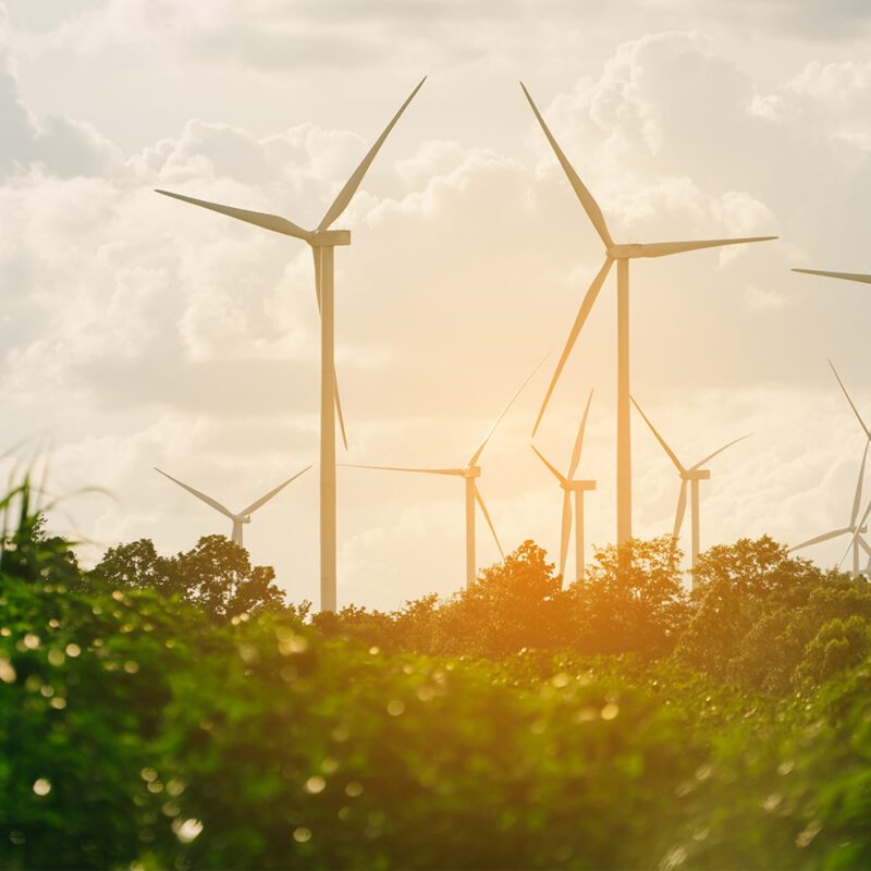 Windmolenpark bij zonsondergang in groene omgeving
