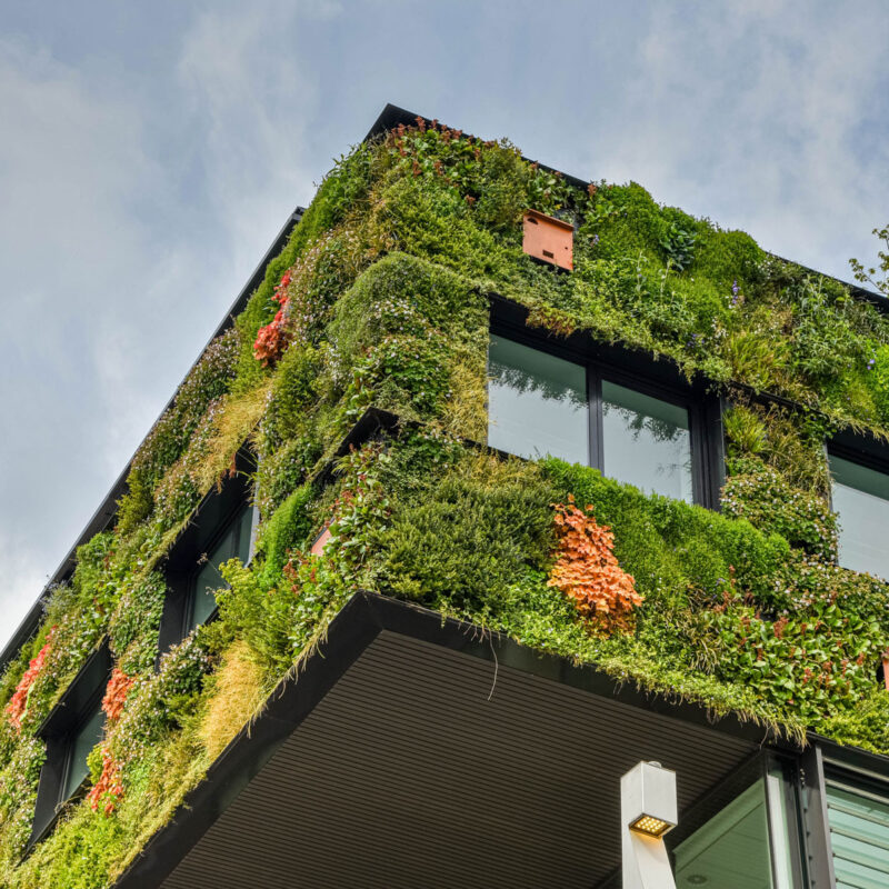 Kantoorgebouw met groene wanden