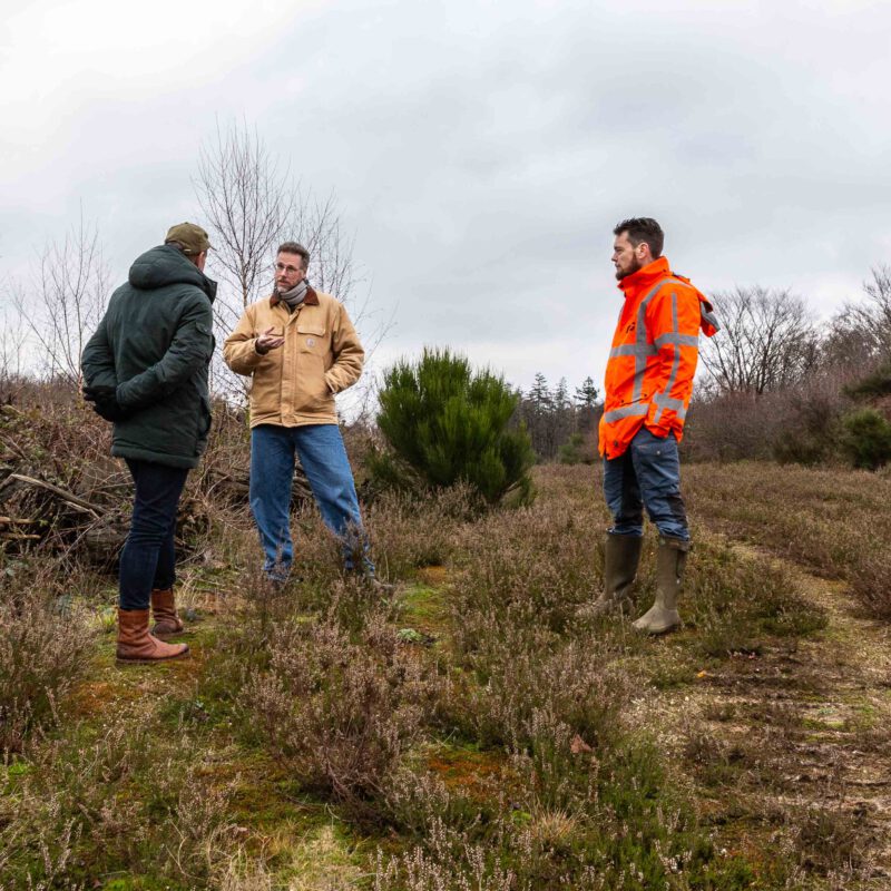 RPS-artikel-laarderhoogt-natuurbrug