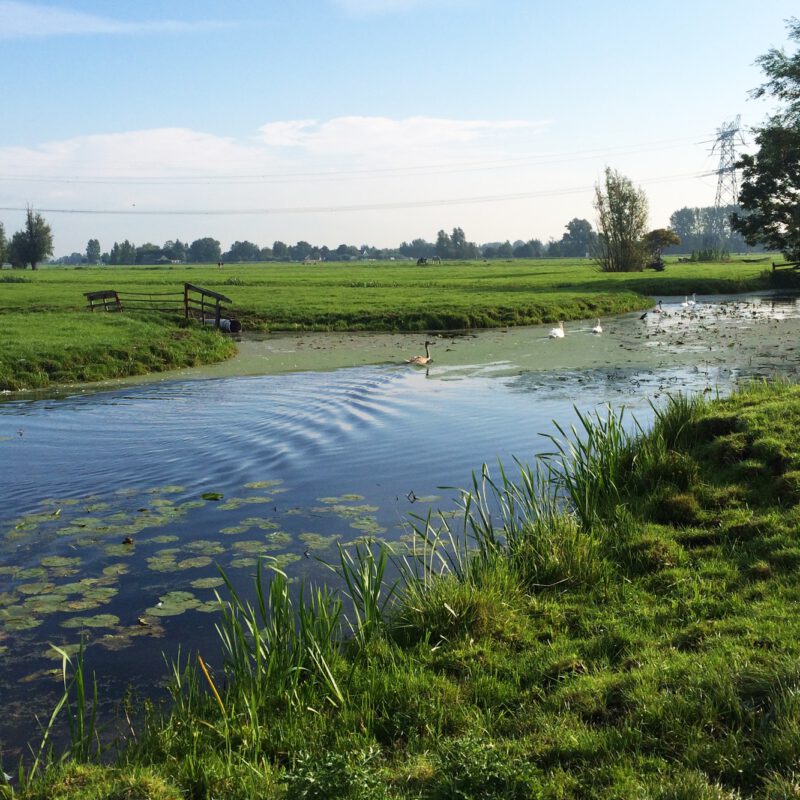 RPS-nieuws-waterschappen-raamcontract