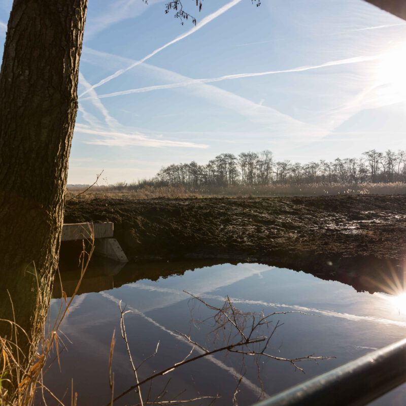 rps-artikel-oostelijke-vechtplassen