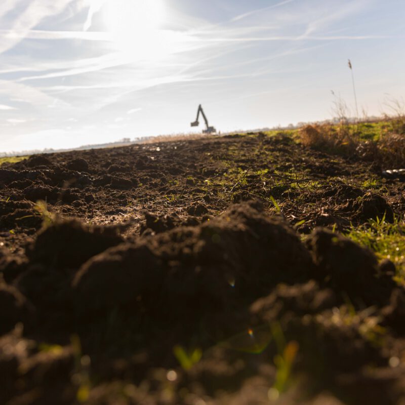 rps-artikel-oostelijke-vechtplassen