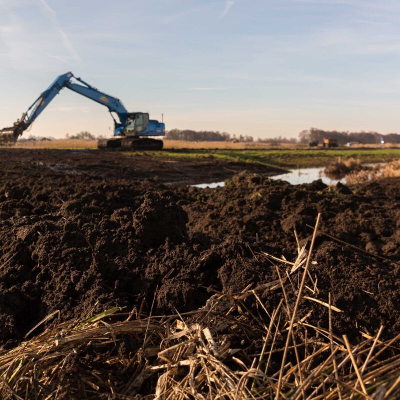 rps-artikel-oostelijke-vechtplassen